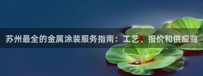 美高梅在澳门有几家分公司