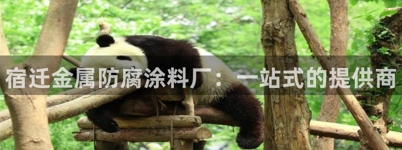 美高梅直营游戏有哪些