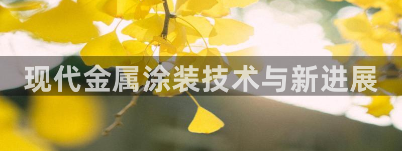 美高梅酒店入住时间