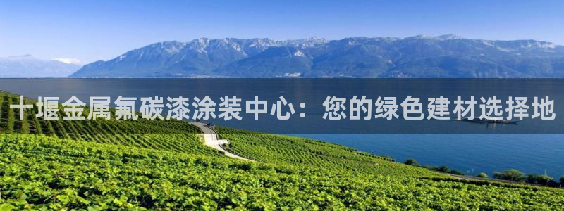 美高梅呈献郑伊健音乐会