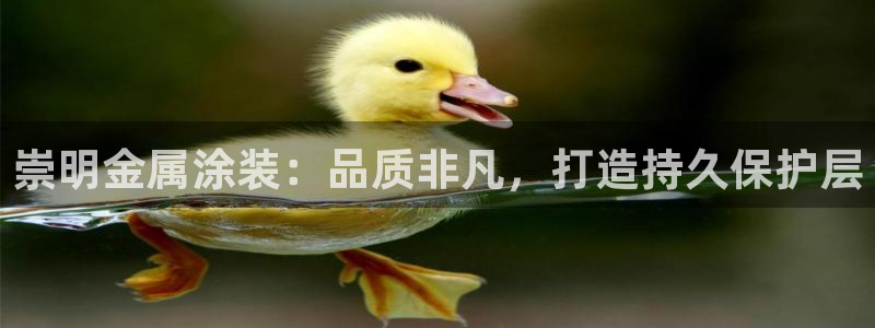 美高梅会员卡怎么办理流程