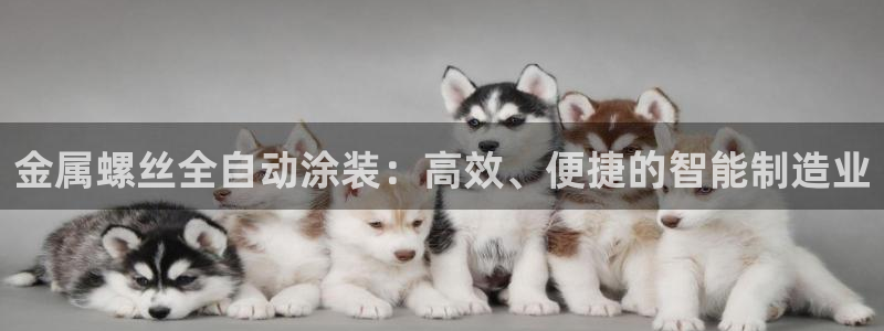 美高梅大酒店招聘信息最新