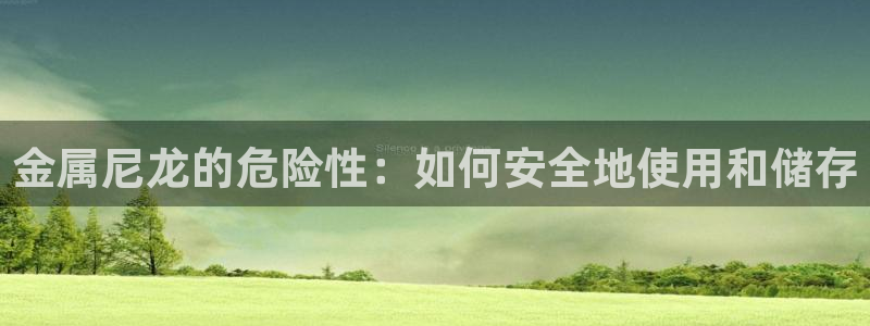 美高梅门口的狮子