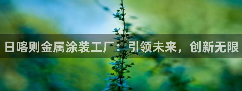 美高梅免费奶茶在哪：日喀则金属涂装工厂：