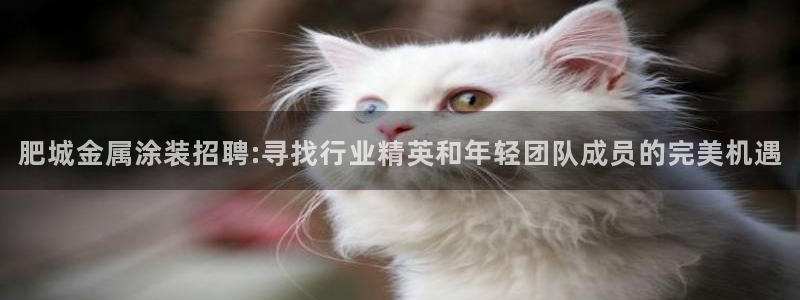 美高梅儿童托管收费吗怎么收费：肥城金属涂