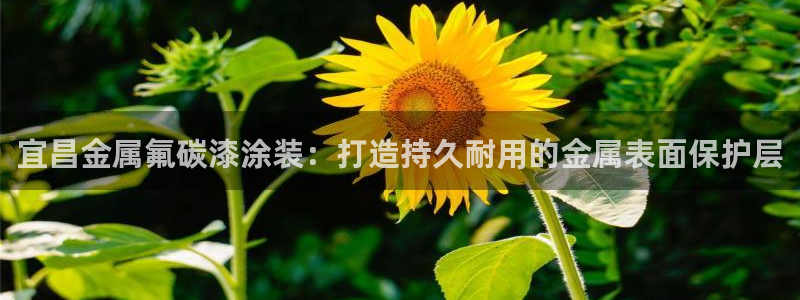 美高梅音乐会所怎么样：宜昌金属氟碳漆涂装