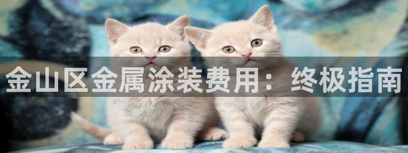 美高梅酒店房卡：金山区金属涂装费用：终极